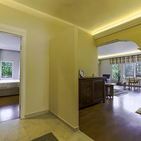Chic W A Fireplace Pool Terrace In 阿拉尼亚